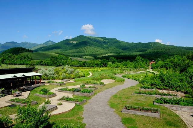 Tokachi Millennium Forest In Hokkaido Japan By Dan Pearson Studio